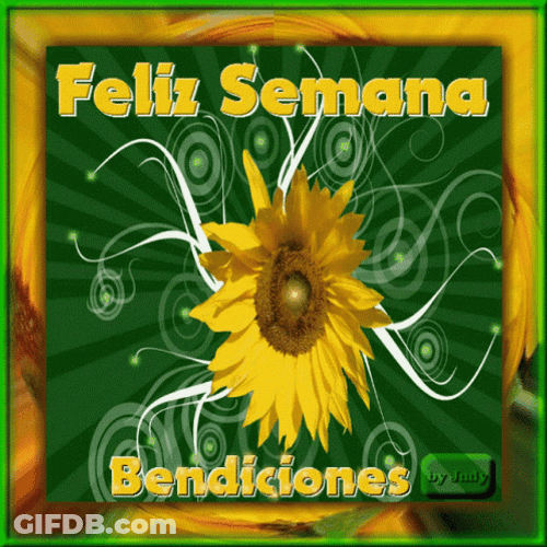 Sun Flower Feliz Semana Bendiciones Sticker GIF