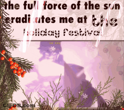 Sun Radiates At Holiday Festival GIF