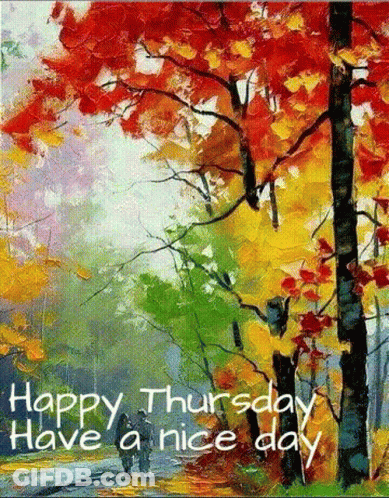 Sun Reading Book Happy Thursday GIF