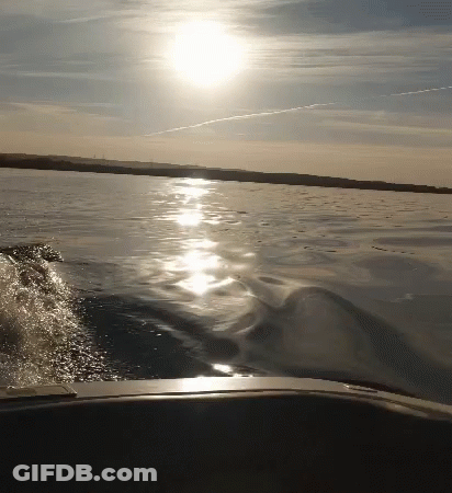 Sun Reflection On Water With Boat GIF