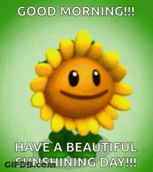 Sun Shining Day Sunny Saturday GIF
