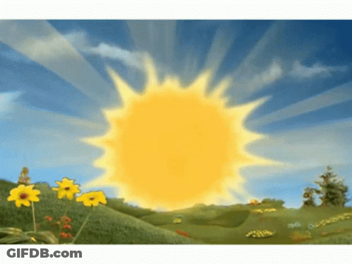 Sun Shining Over Flower Field GIF