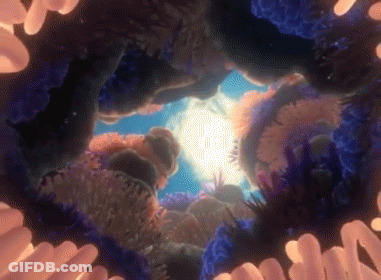 Sun Shining Through Corals In Ocean GIF
