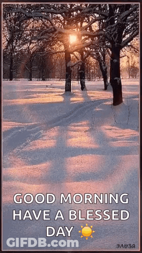 Sun Shining Through Snowy Trees Good Morning GIF