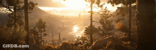 Sun Shining Through Trees In Mountains GIF