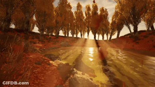 Sun Shining Through Trees On Shore GIF