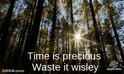 Sun Shining Through Trees Time Is Precious Waste It Wisely GIF