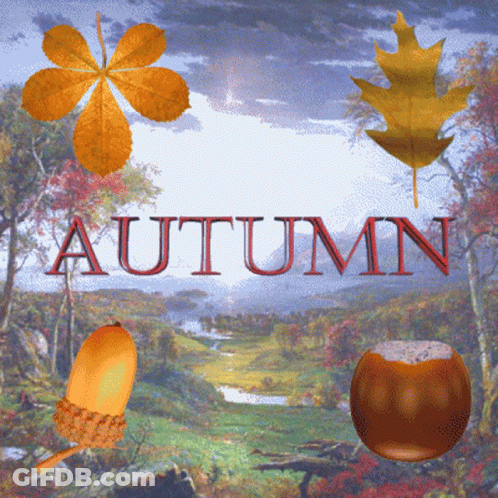 Sun Shining Through Trees With Changing Leaves GIF