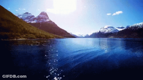 Sun Shining Through Trees With Floating Log GIF