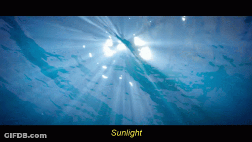Sun Shining Through Water GIF