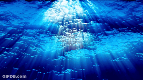 Sun Shining Through Water GIF