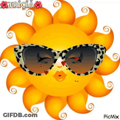 Sun Wearing Sunglasses With Fricia GIF