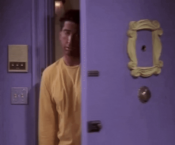 Sunburn Friends Ross Geller GIF