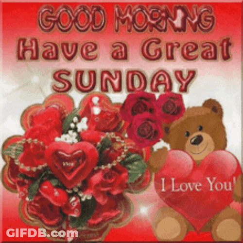 Sunday Bear Digital Text Message GIF