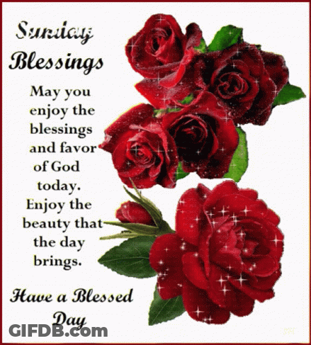 Sunday Blessings And Favor GIF