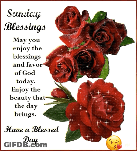 Sunday Blessings Card With Red Roses GIF