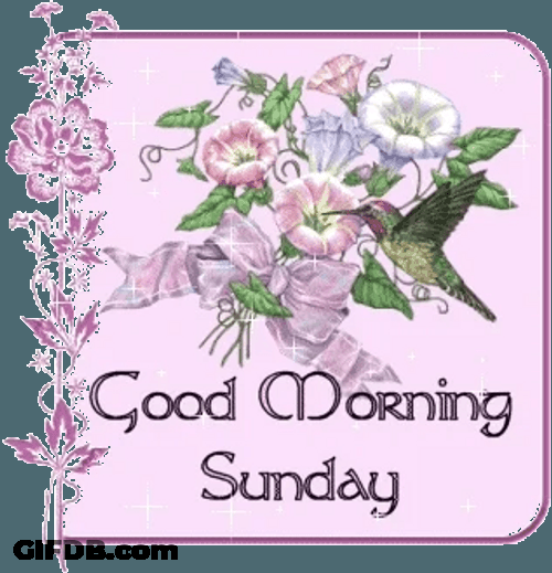 Sunday Blessings Dainty Flowers Good Morning GIF