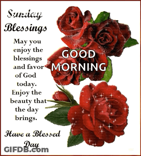 Sunday Blessings Enjoy God's Favor GIF