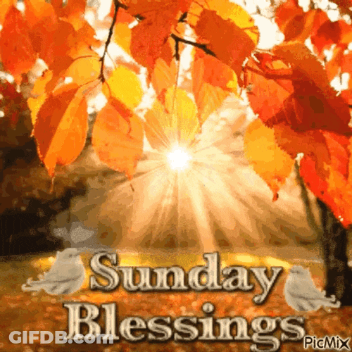 Sunday Blessings GIF