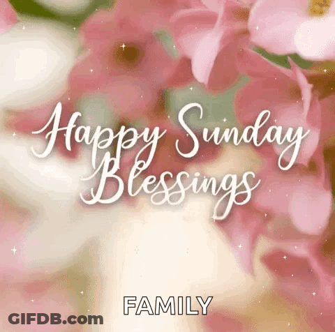 Sunday Blessings Greeting Card With Pink Flowers GIF