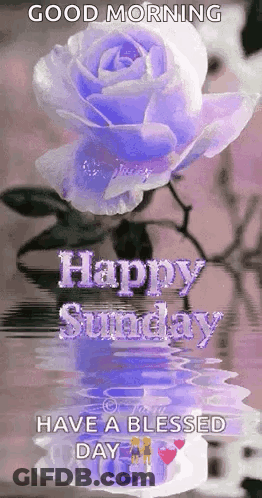 Sunday Blessings Have A Blessed Day Card GIF