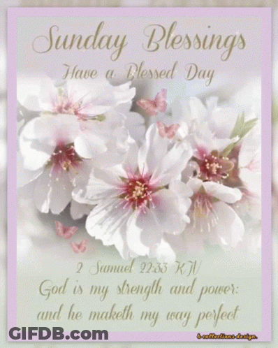 Sunday Blessings Have A Blessed Day Card With Flowers And Butterflies GIF