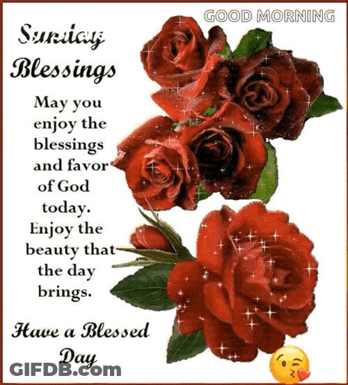 Sunday Blessings Have A Blessed Day GIF