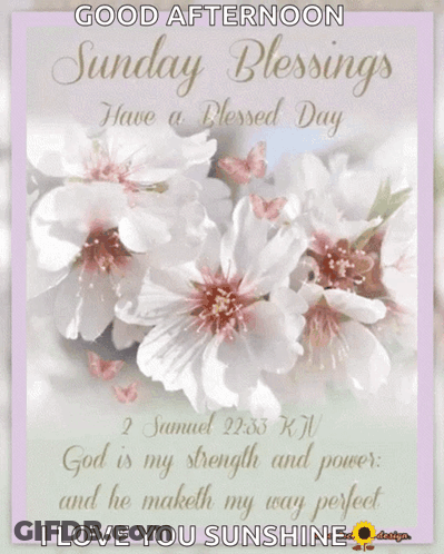Sunday Blessings Have A Blessed Day GIF