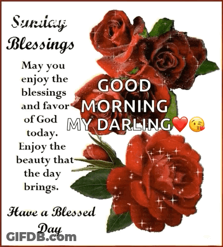 Sunday Blessings May You Enjoy The Blessings And Favor Of God GIF