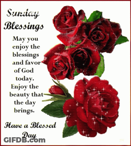 Sunday Blessings May You Enjoy The Blessings And Favor Of God Today Enjoy The Beauty That The Day Brings And Have A Bles GIF