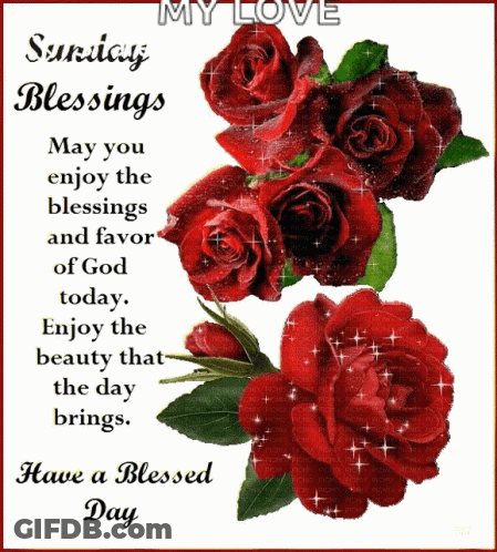 Sunday Blessings May You Enjoy The Blessings And Favor Of God Today Enjoy The Beauty That The Day Brings And Have A Bles GIF