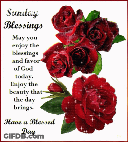 Sunday Blessings May You Enjoy The Blessings And Favor Of God Today Enjoy The Beauty That The Day Brings And Have A Bles GIF