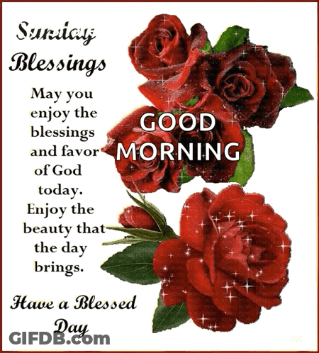 Sunday Blessings May You Enjoy The Blessings And Favor Of God Today . Enjoy The Beauty That The Day Brings Have A Blesse GIF