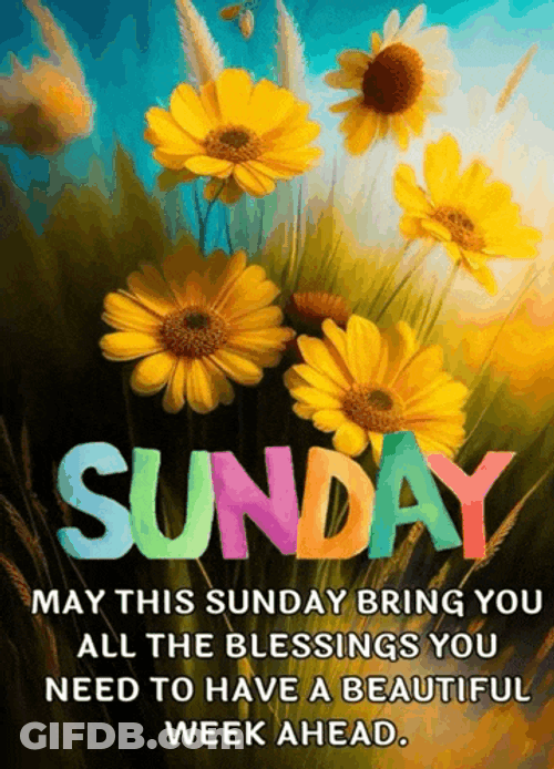 Sunday Blessings Meme GIF