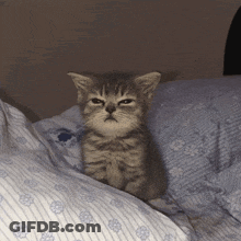 Sunday Blessings Yellow Green GIF