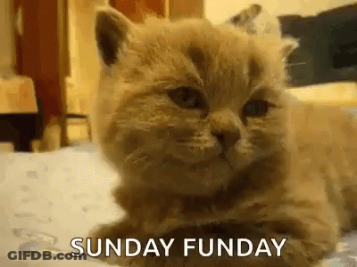 Sunday Funday GIF