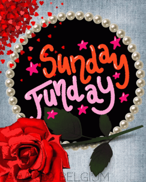 Sunday Funday With Red Rose GIF