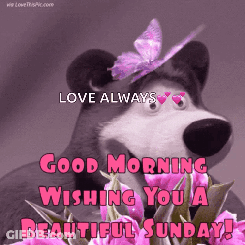 Sunday Good GIF