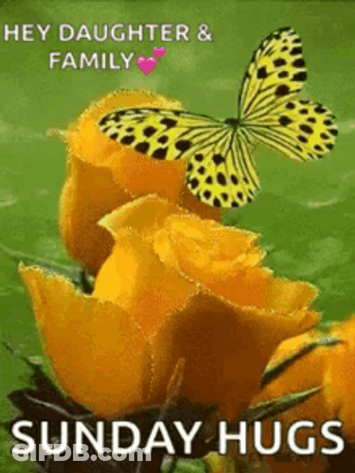 Sunday Hugs Pretty Butterfly Graphic Design GIF