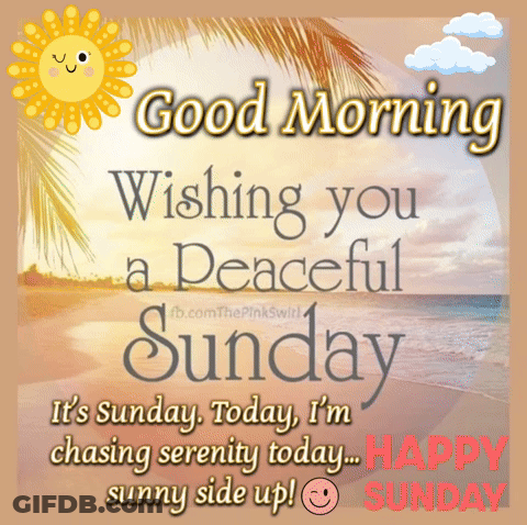 Sunday Hugs With Butterfly On Flower GIF