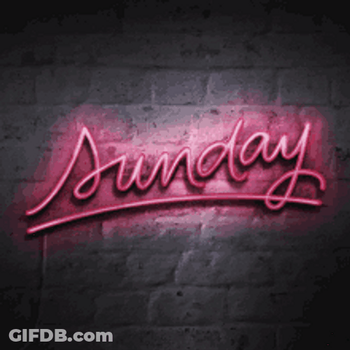 Sunday Neon Sign Visual Art GIF