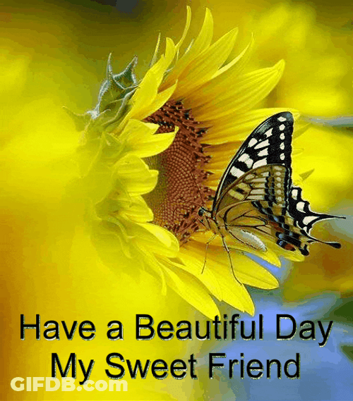 Sunflower Butterfly Wonderful Day GIF