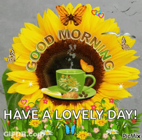 Sunflower Coffee Butterflies Good Morning Have A Lovely Day GIF