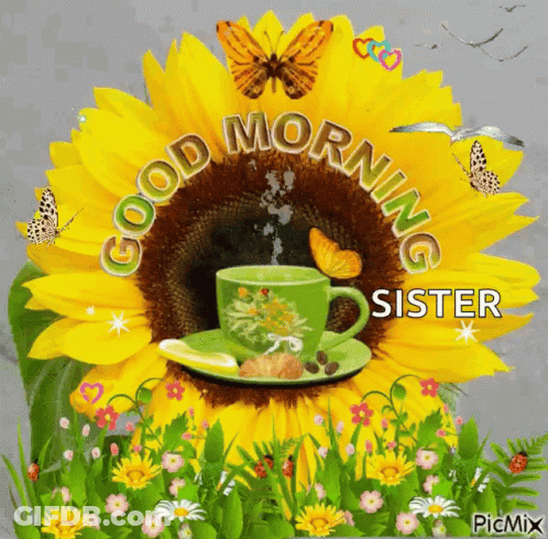 Sunflower Coffee Cup And Butterflies Good Morning Sister GIF