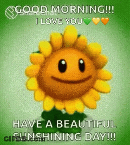 Sunflower Face Good Morning I Love You GIF