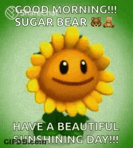 Sunflower Face Saying Good Morning Sugar Bear GIF