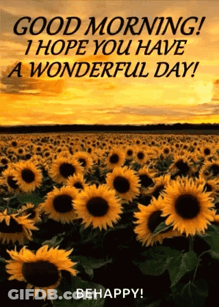 Sunflower Field At Sunset Saying Good Morning I Hope You Have A Wonderful Day GIF