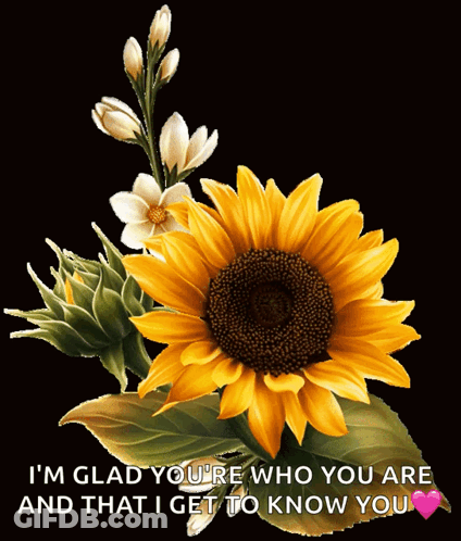 Sunflower I'm Glad You're Who You Are GIF