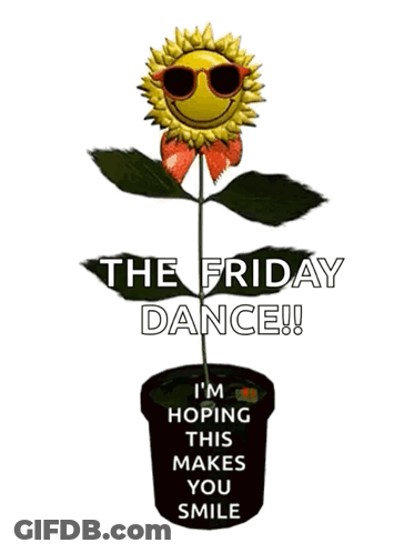 Sunflower In Sunglasses And Bow Saying The Friday Dance GIF