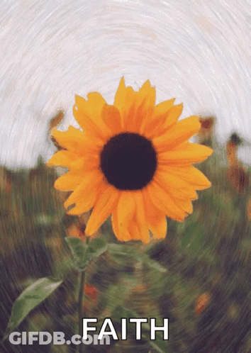 Sunflower Saying Faith GIF